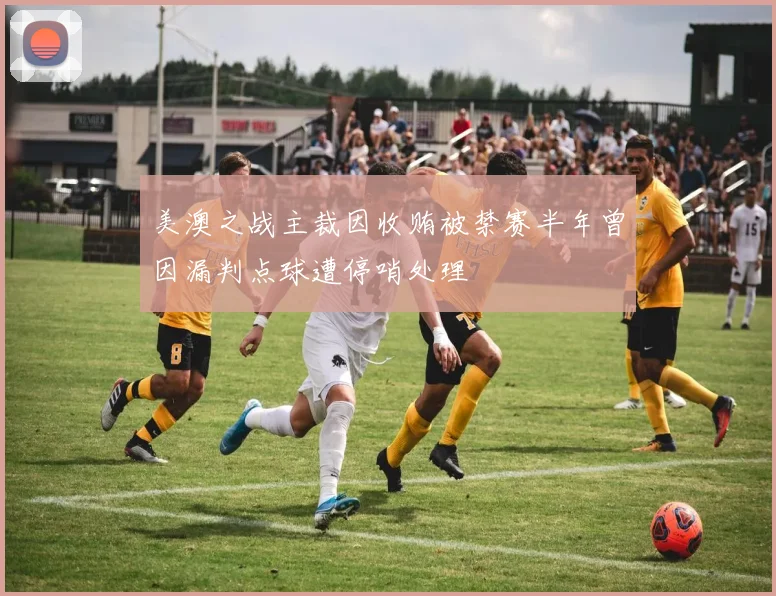 美澳之战主裁因收贿被禁赛半年曾因漏判点球遭停哨处理