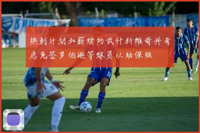 热刺计划加薪续约武什科维奇并考虑免签罗伯逊等球员以助保级
